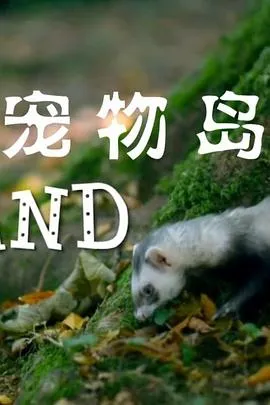 一路不顺风